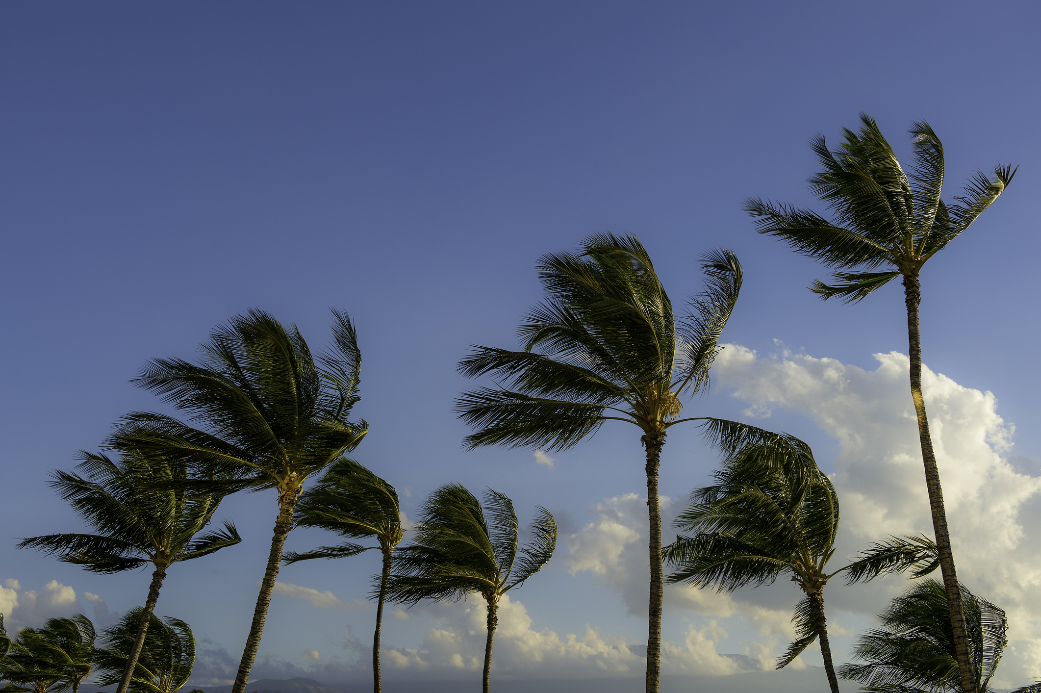 Hawaii Wind Patterns Explained: Trade Winds & Kona Winds - Hawaii Real  Estate Market & Trends | Hawaii Life