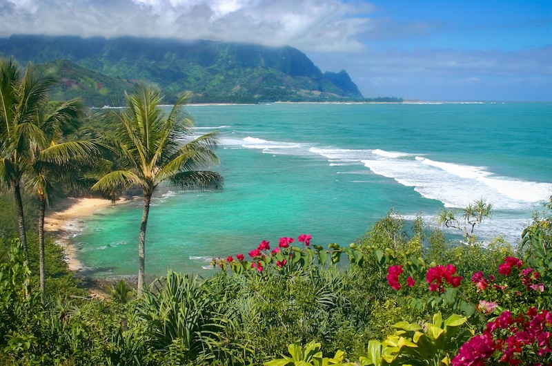 lush vegetation in front of kauai beach and mountains in background