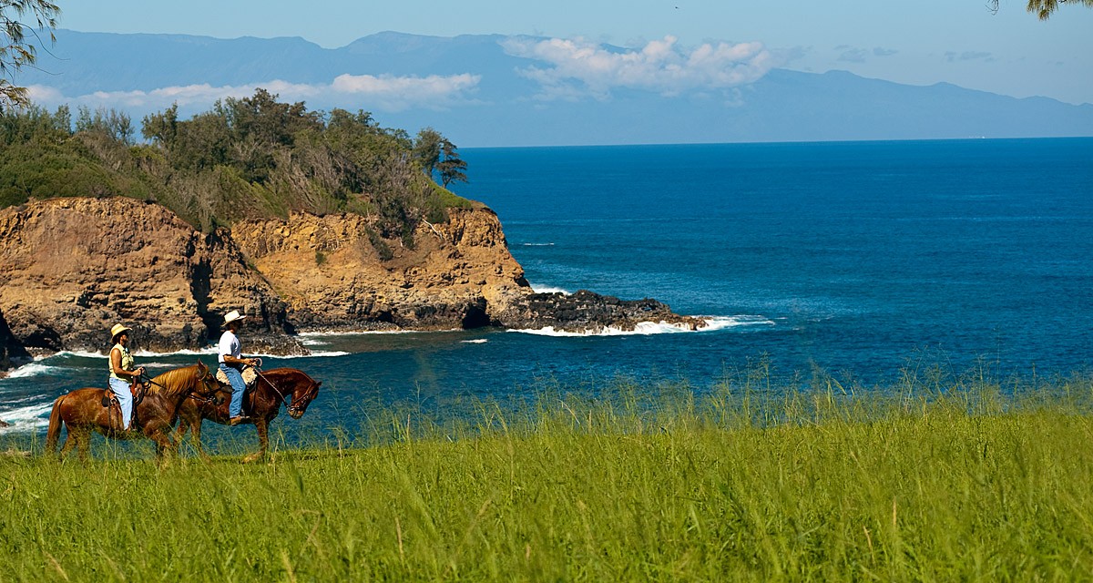 Oceanfront horse property Hawaii
