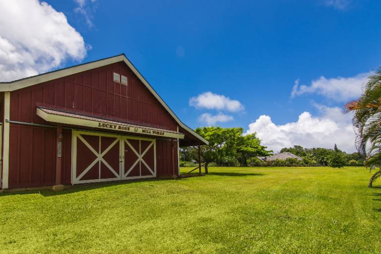 Horse Enthusiasts Stunning Horse Property on Kauai Hawaii Real