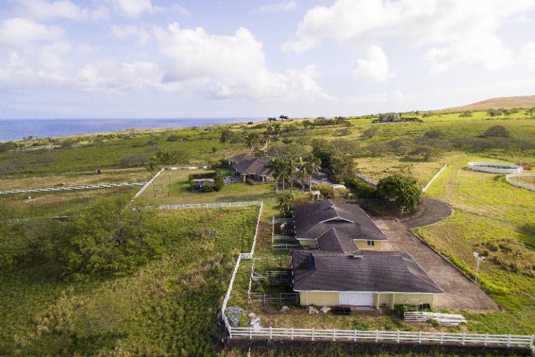 Big Island Horse Properties for Sale Hawaii Real Estate Market