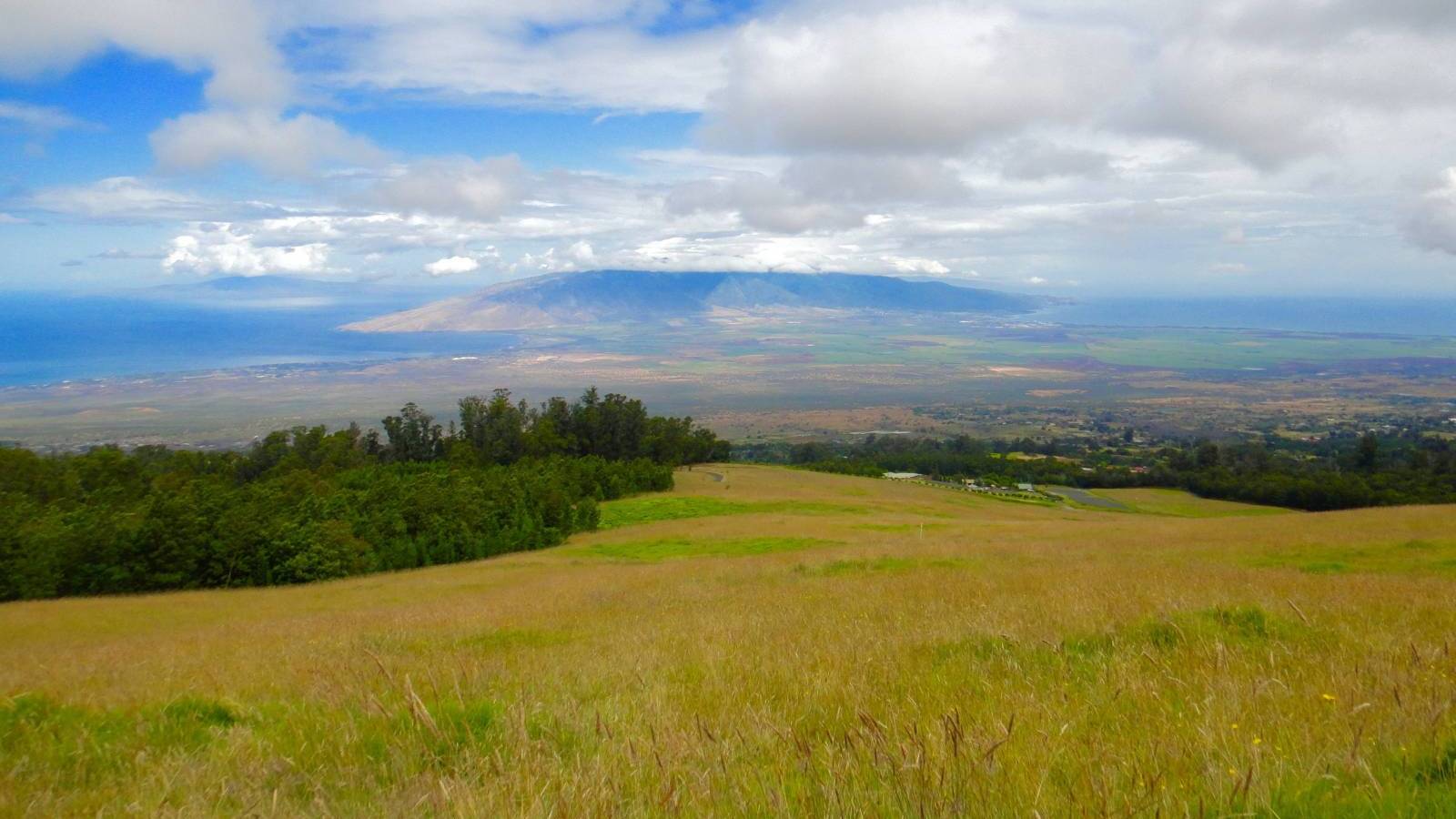 Live Real Estate Statistics Maui "Up Country" Hawaii Real Estate