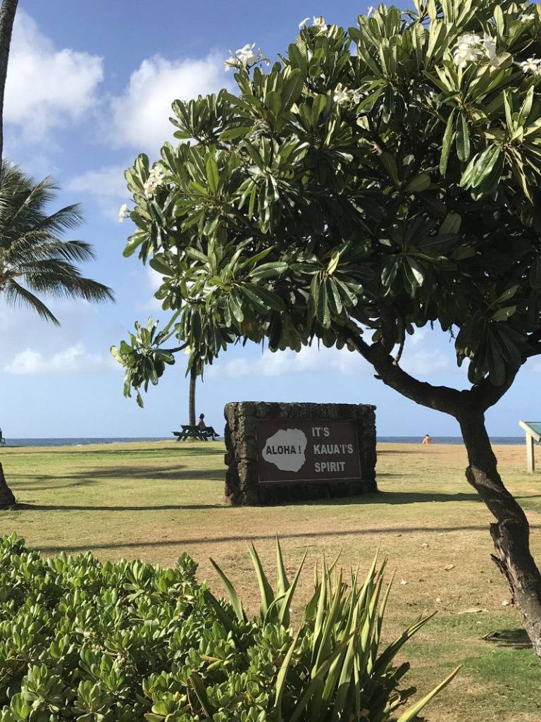 Poipu Neighborhoods with Vacant Lots for Sale Hawaii Real Estate