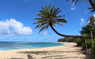 Relax and Unwind at One of O‘ahu's North Shore Yoga Studios - Hawaii ...