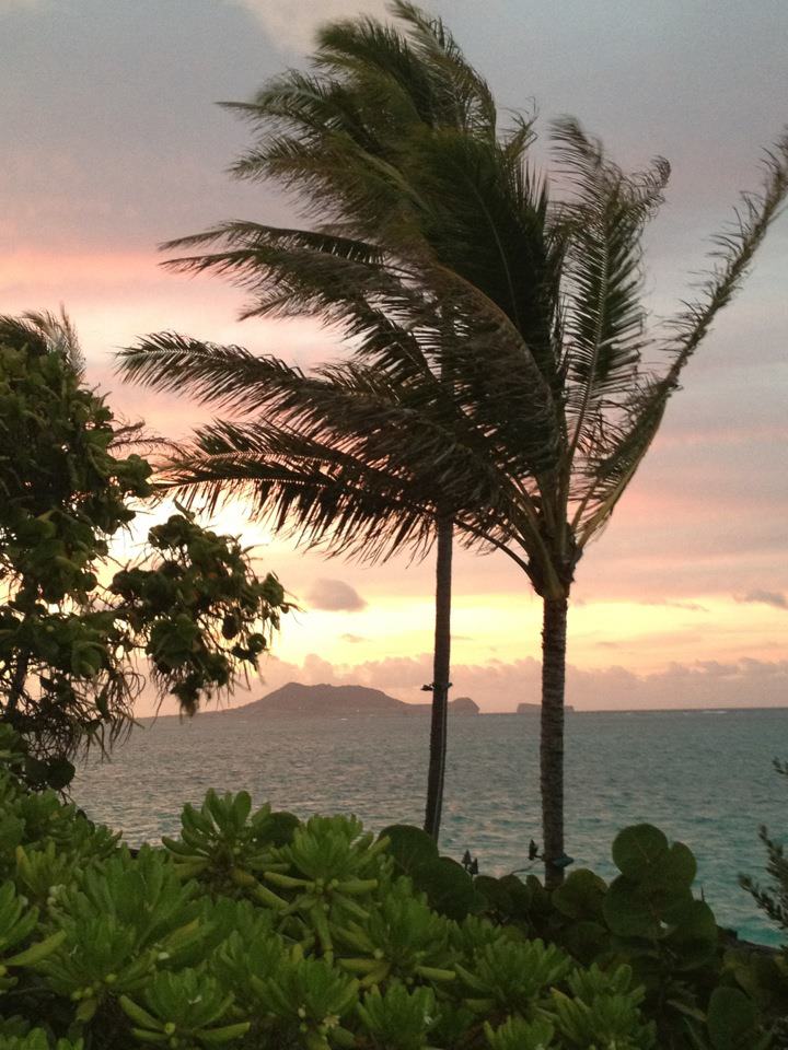 Experience Autumn in Hawaii Hawaii Real Estate Market & Trends