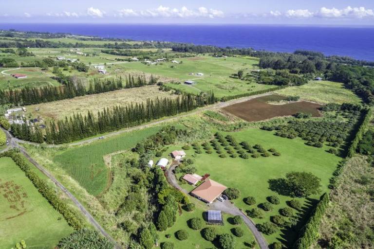 Newly Listed Land Property in Hakalau with Big Ocean Views Hawaii