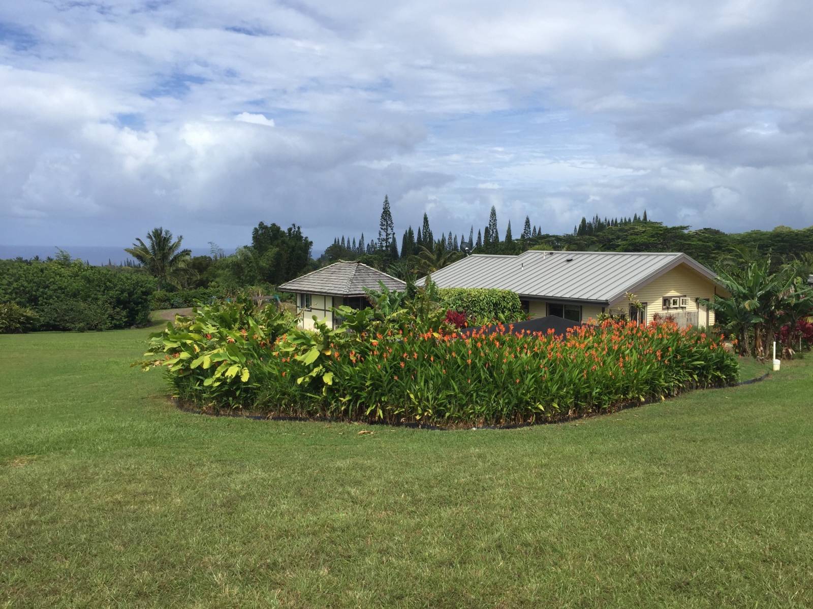 Sustainable Living on Maui's North Shore (And it's ADA Approved
