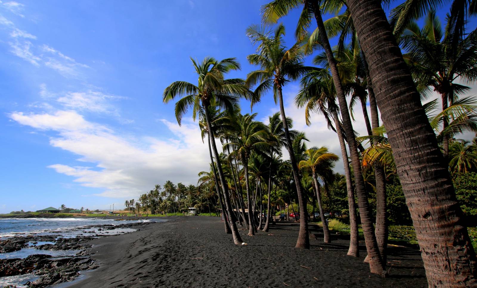 Black sand beach, tall palms and blue skies