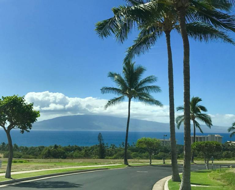Lanikeha An Artfully Designed New Community in Ka'anapali, Maui Hawaii Real Estate Market
