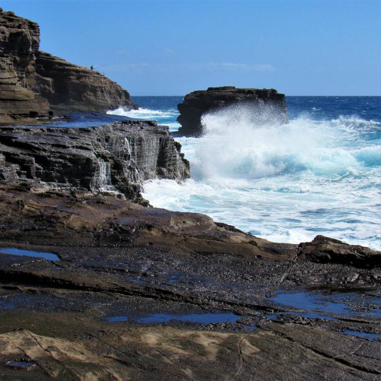 Hawai‘i Life East O‘ahu A Continued Legacy Enhanced By Modern Marketing Muscle Hawaii Real