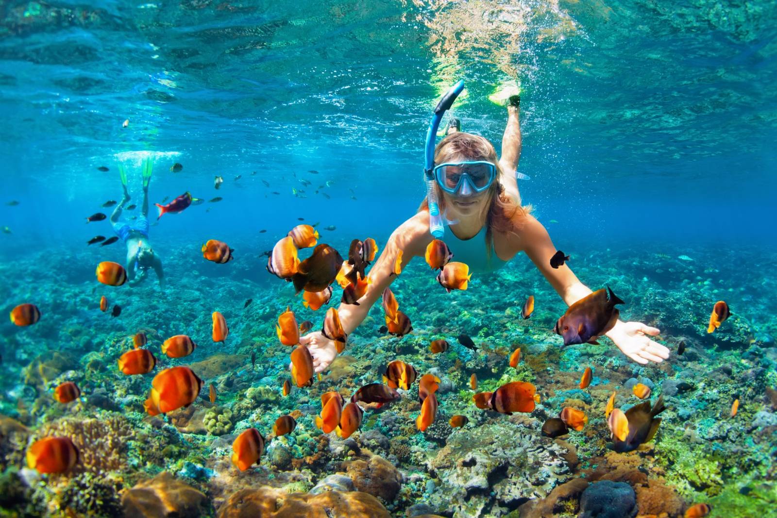 Which Hawaiian Island Is Best For Snorkeling
