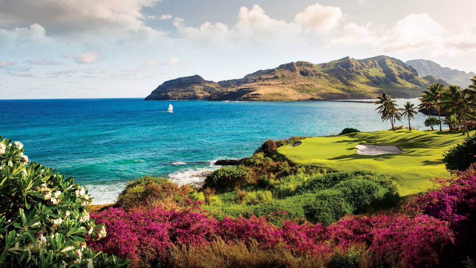 Hokuala, Timbers Kauai Ownership Opportunities Hawaii Real Estate Market & Trends Hawaii Life