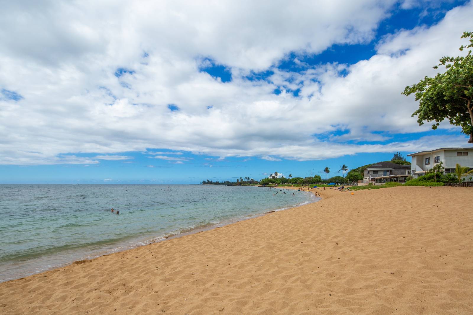 Beachfront Oahu North Shore Condo For Sale Hawaii Real Estate Market