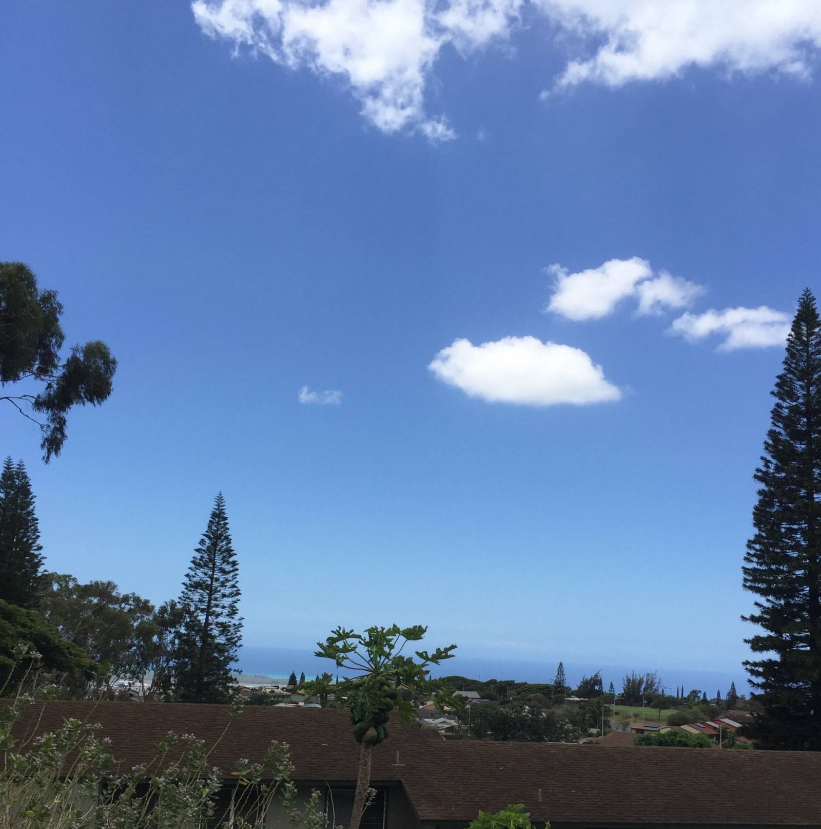 New Friends, New Clients, New Home, New Hawaii Life! Hawaii Real