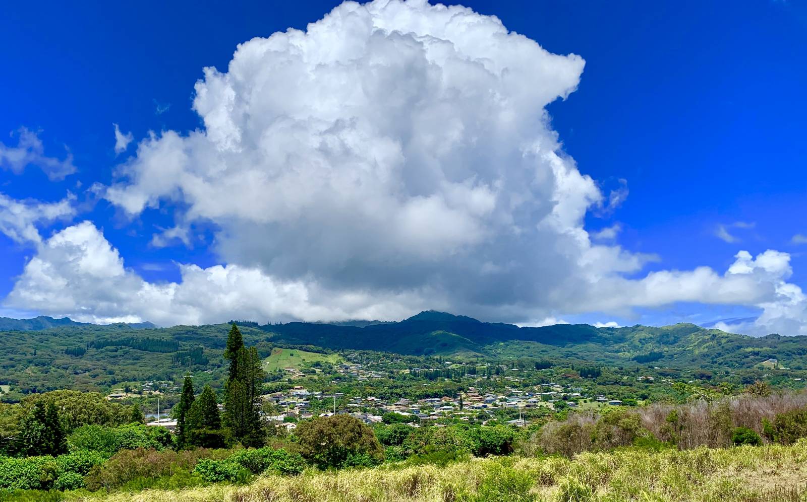 Where to Shop, Eat, & Live in Kalaheo Kaua'i Lifestyle Hawaii Real