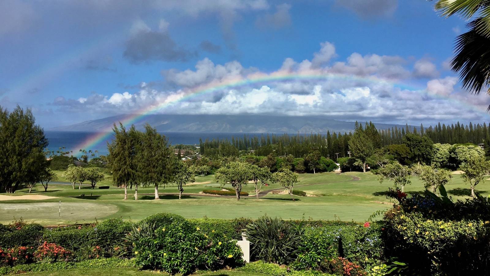Pineapple Hill Summer 2019 Market Update Hawaii Real Estate Market