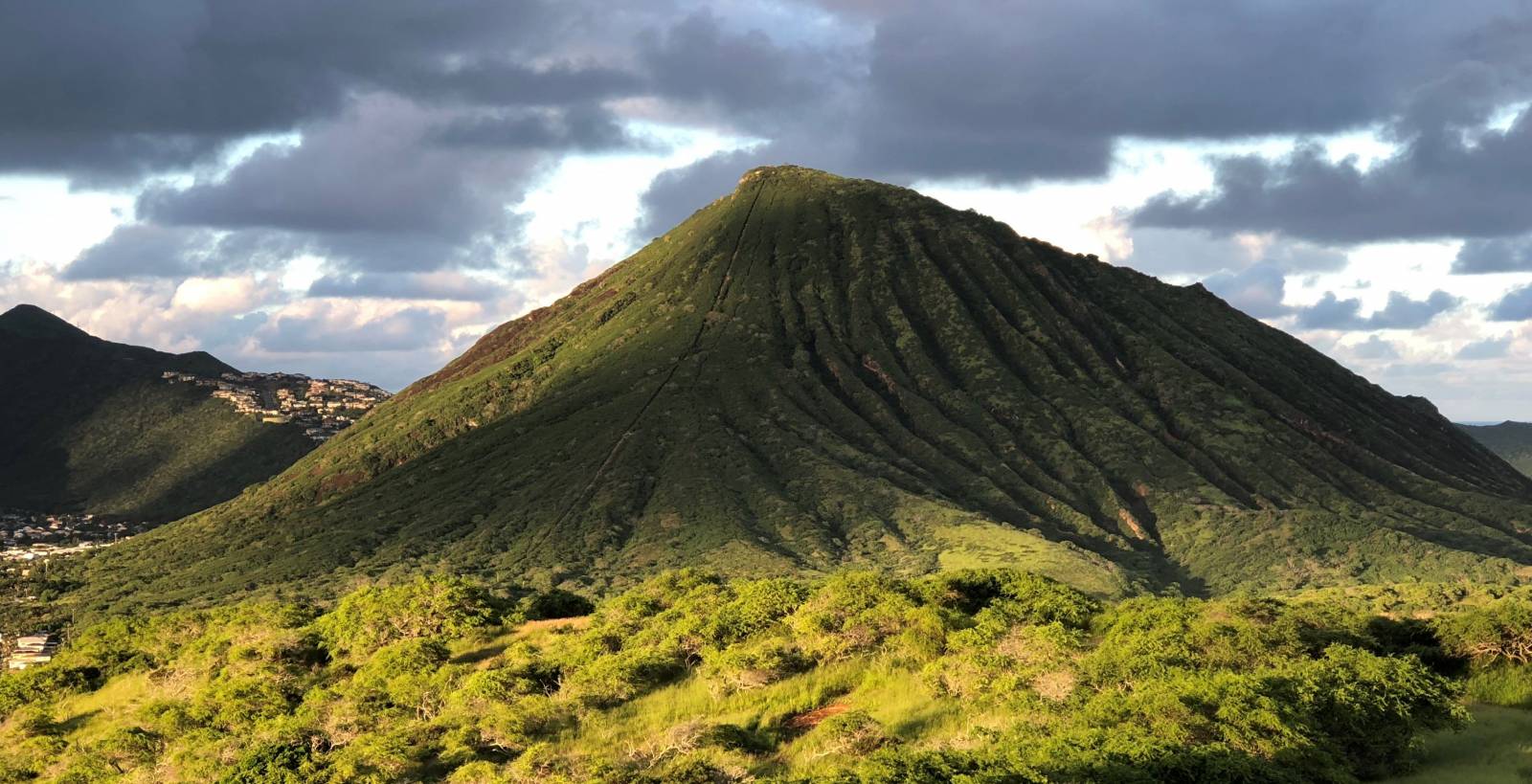 Save Koko Head Stairs? Hawaii Real Estate Market & Trends Hawaii Life