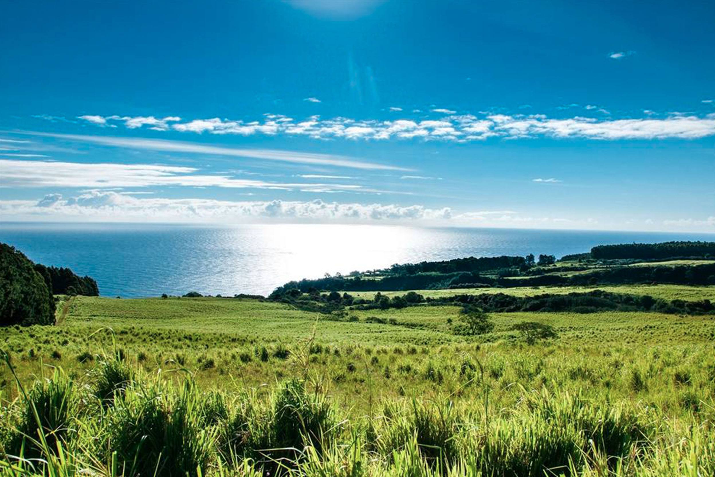 Conservation & Legacy Lands Hawaii Real Estate Market & Trends