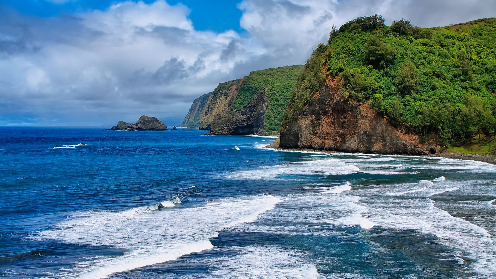 Hamakua Coast Realty, A Boutique Firm Serving Hawai‘i Island Since 2001