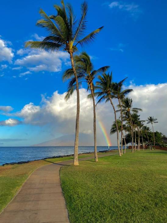 palm tree-lined walking path along the shore on maui with a rainbow in the background