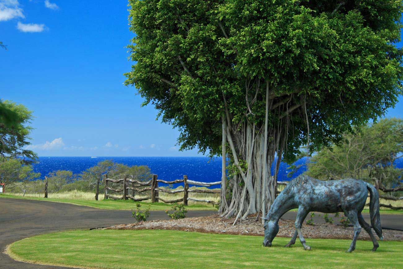 North Kohala (Hawi) Land Sales 2019 Report Hawaii Real Estate