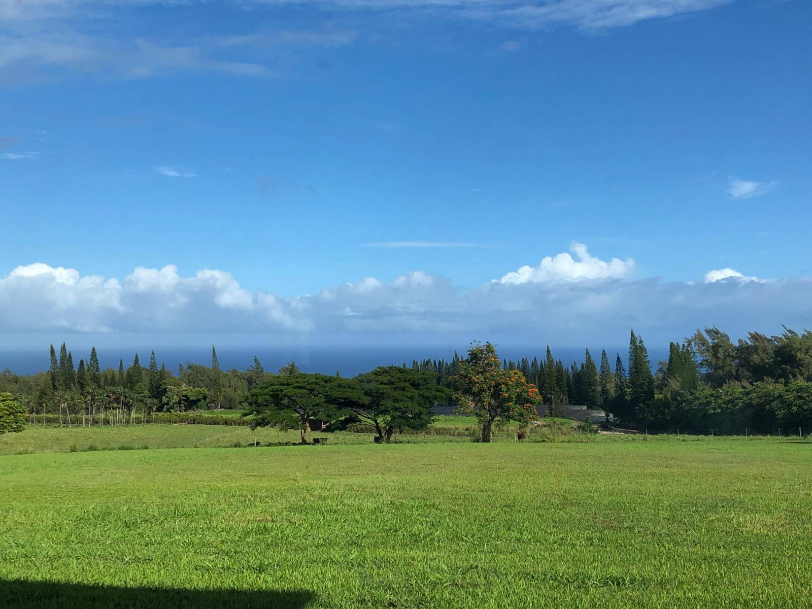 New Listings North Kohala Homes On Acreage Hawaii Real Estate Market