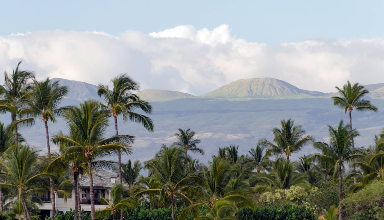 Big Island of Hawaii Real Estate Market in Overdrive! Hawaii Real