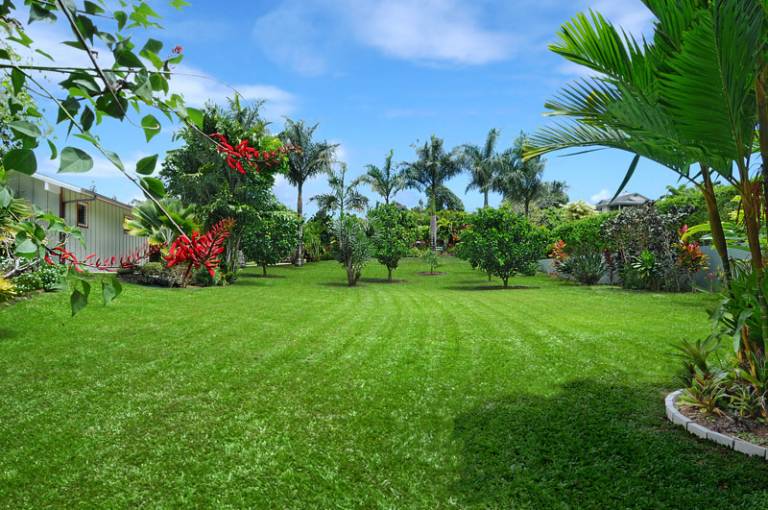 Life in the Wailua Homesteads on Kauai Hawaii Real Estate Market