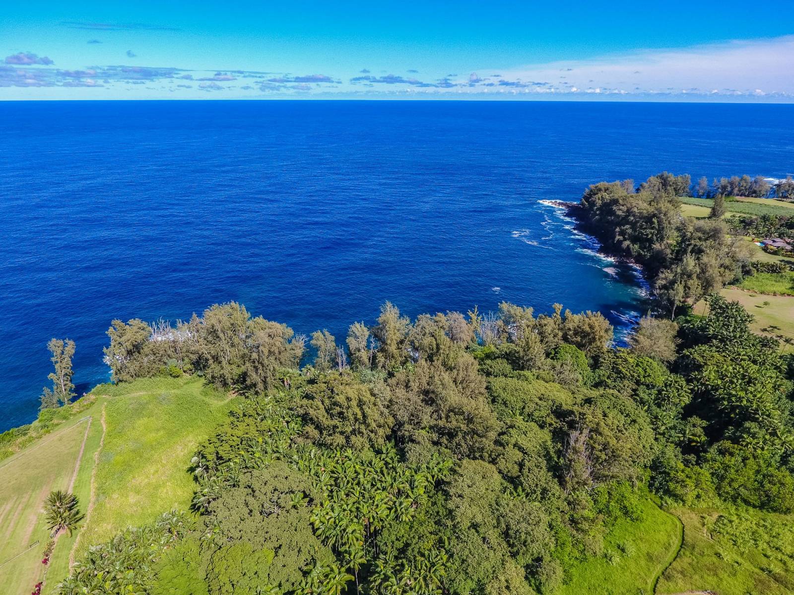 2019 Hawaii Island Realtor Of The Year - Hawaii Real Estate Market ...