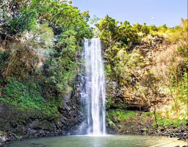 wailua homesteads park Archives Hawaii Real Estate Market & Trends