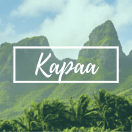 Kapaa Market Report