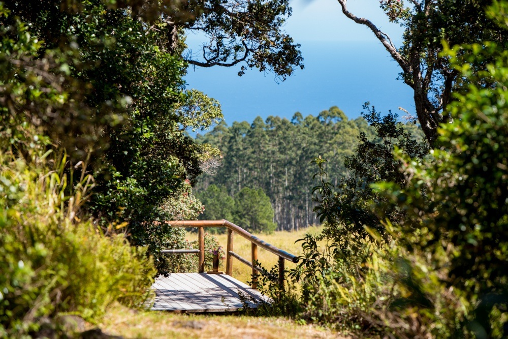 Beloved & Sustainable Bamboo Farmstead In Hamakua With Gorgeous Views ...