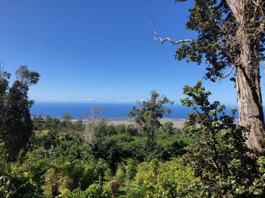 View from a coffee farm