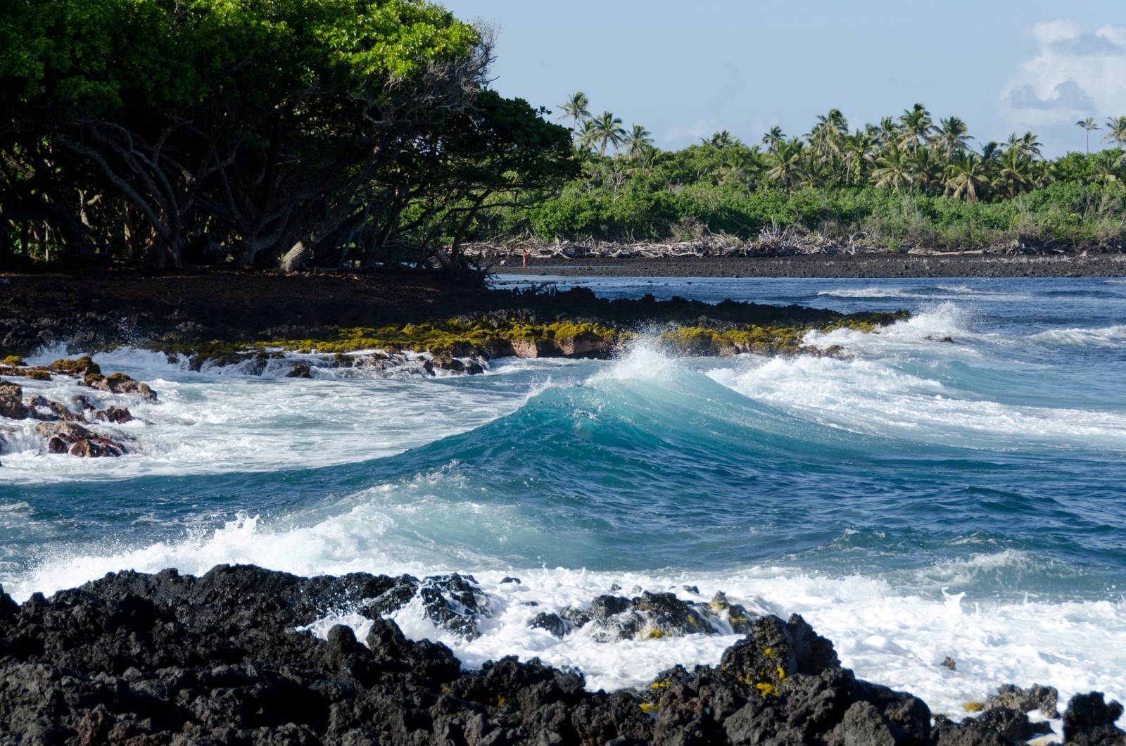 puna-district-neighborhoods-and-lava-zones-hawaii-real-estate-market