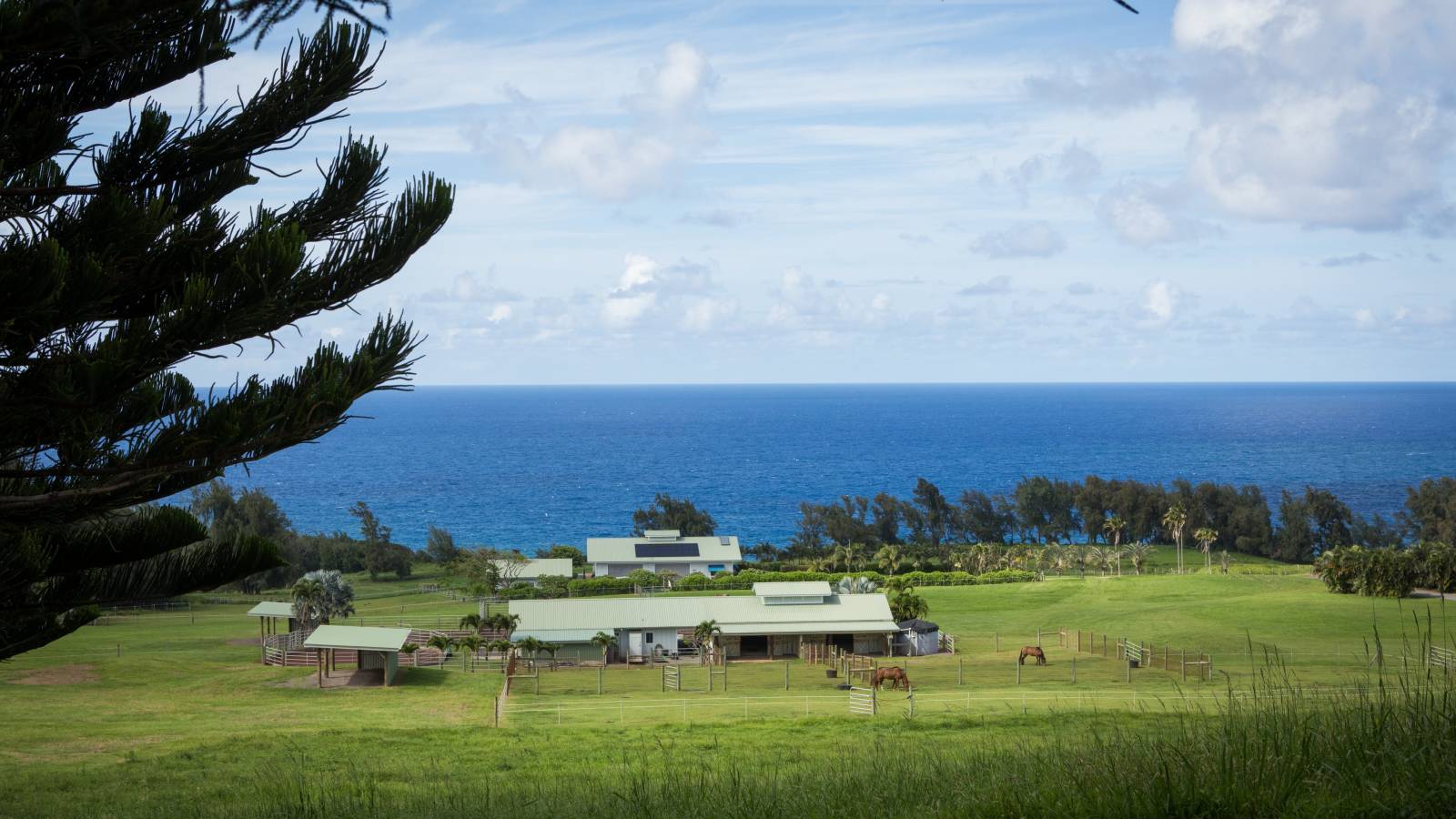 Financing Vacant Land in Hawaii in 2020 Hawaii Real Estate Market