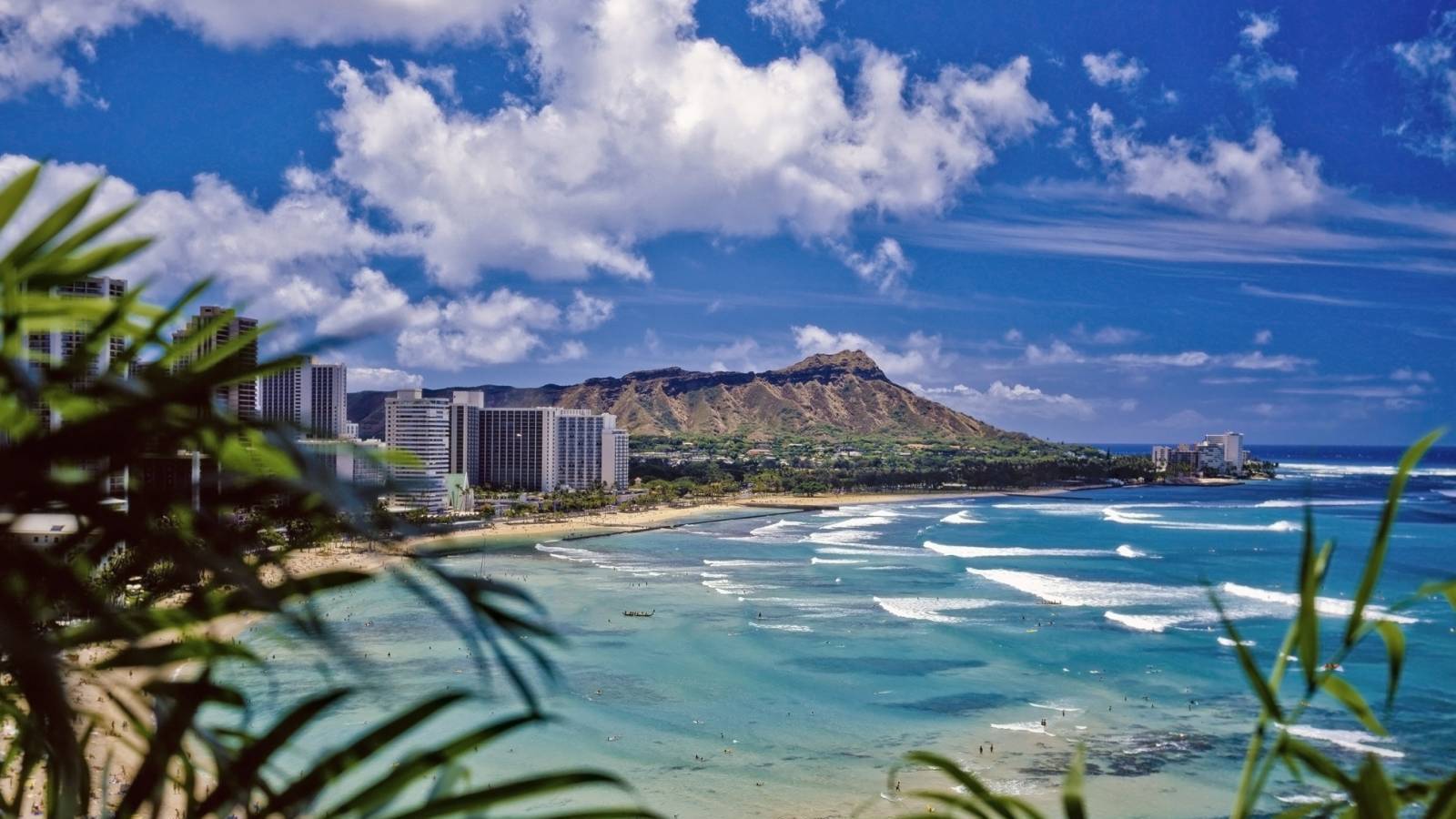 Live in Famous Waikiki! Hawaii Real Estate Market & Trends Hawaii Life