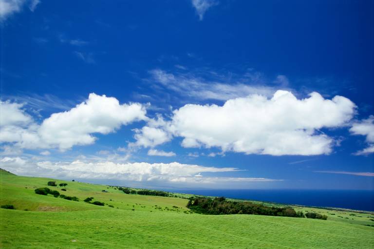 Big Island Covid19 Real Estate News Hawaii Real Estate Market