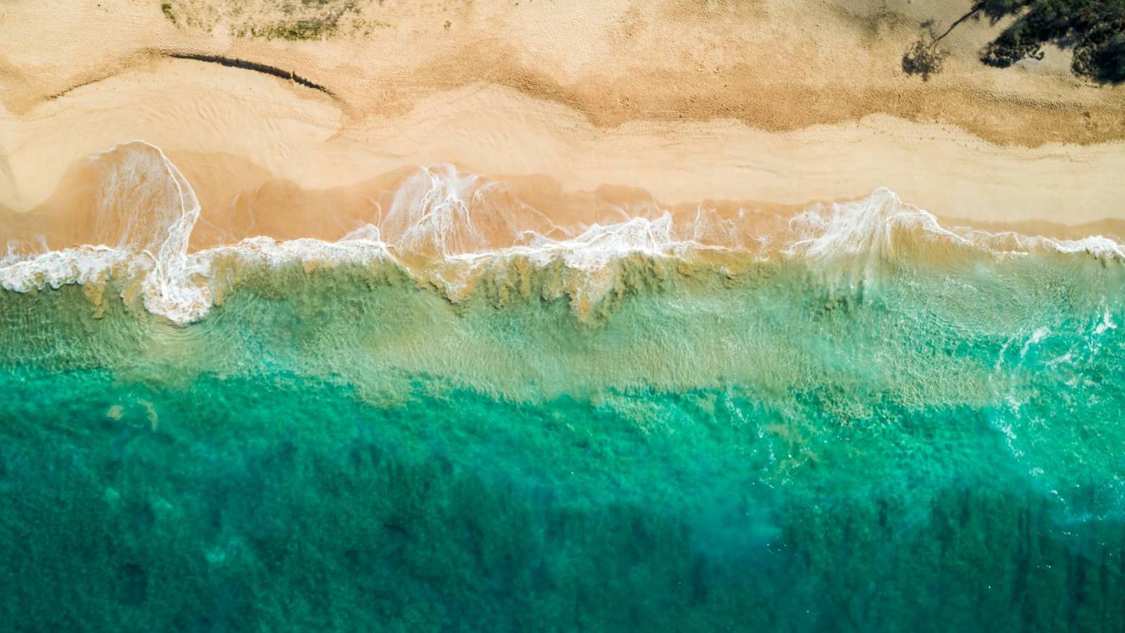 Land For Sale in Makena Next to Big Beach Hawaii Real Estate Market