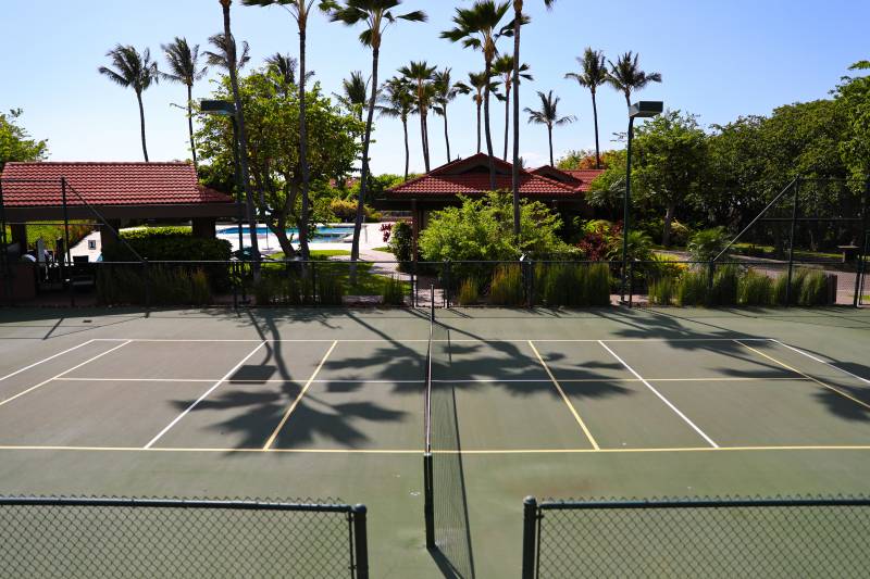palm tree shadows on tennis court with pool in the background