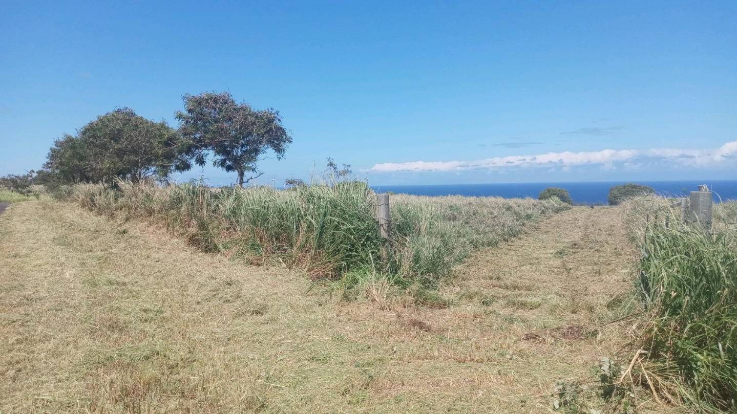 Rainfall and Climate Zones on the Big Island of Hawaii Hawaii Real