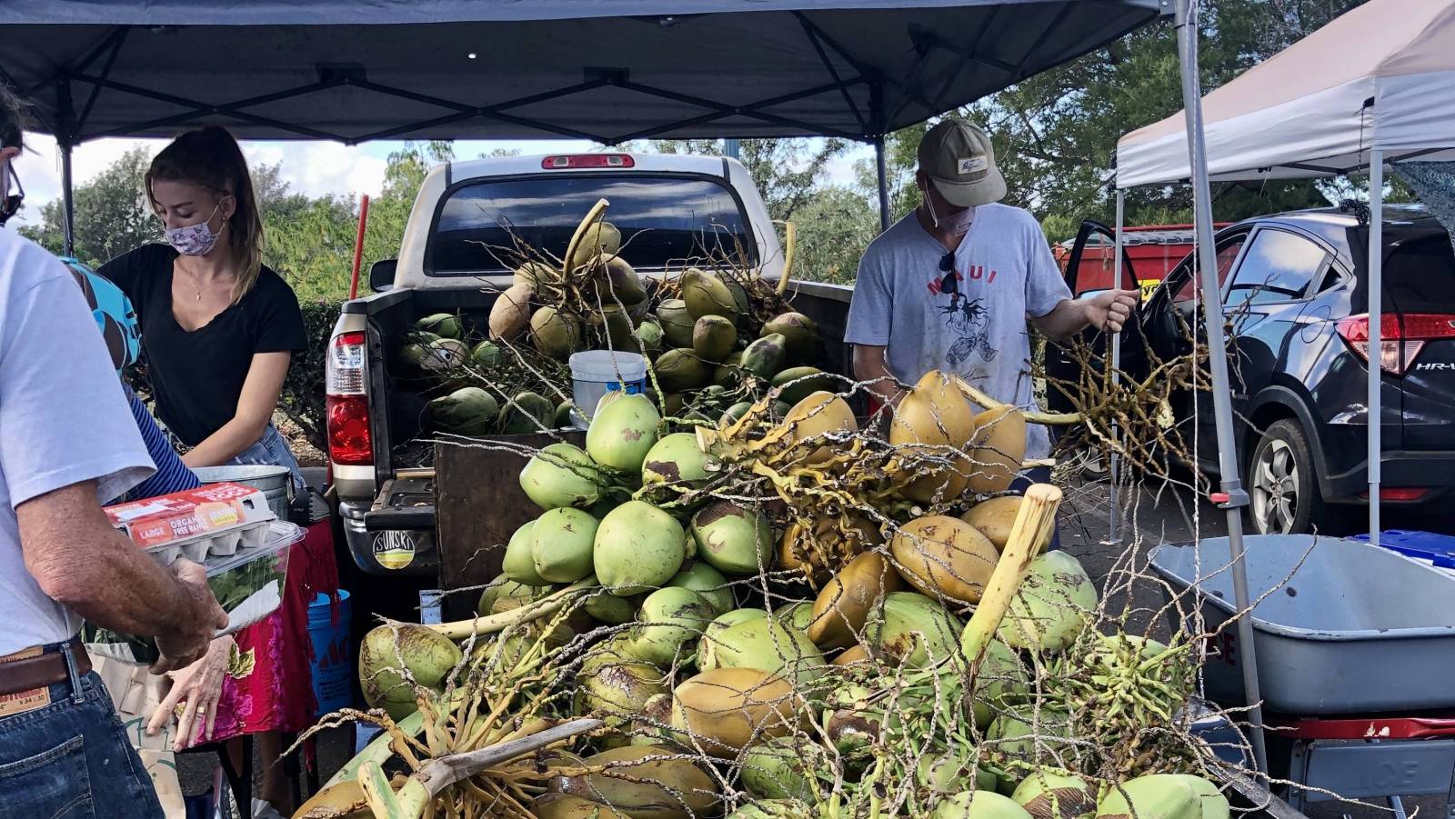 Farmers Insurance Hilo Hawaii Things to Do in Hilo on