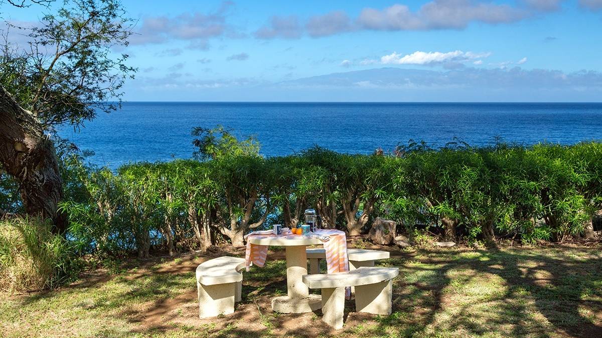 North Kohala (Hawi) Land Sales 2020 Market Report Hawaii Real