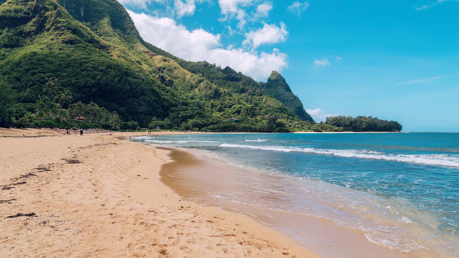 Kauai Market Update Q4 2020 Hawaii Real Estate Market & Trends