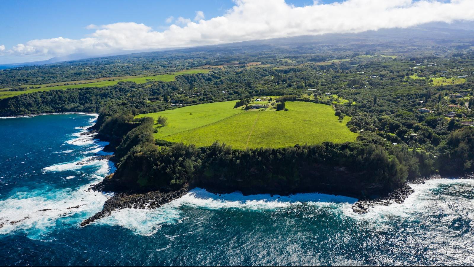 Three Stunning Hawai‘i Homes Being Showcased by Forbes Global