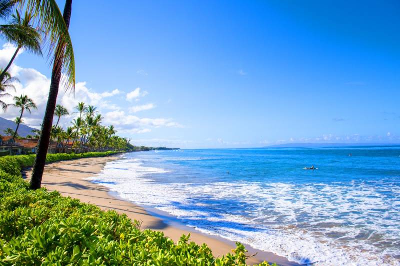 pick up litter on hawaii's beaches