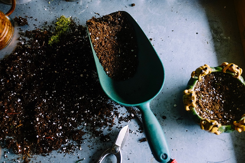 how to compost your food scraps