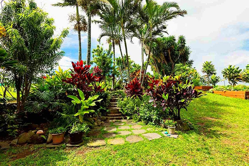 beautiful tropical landscaping