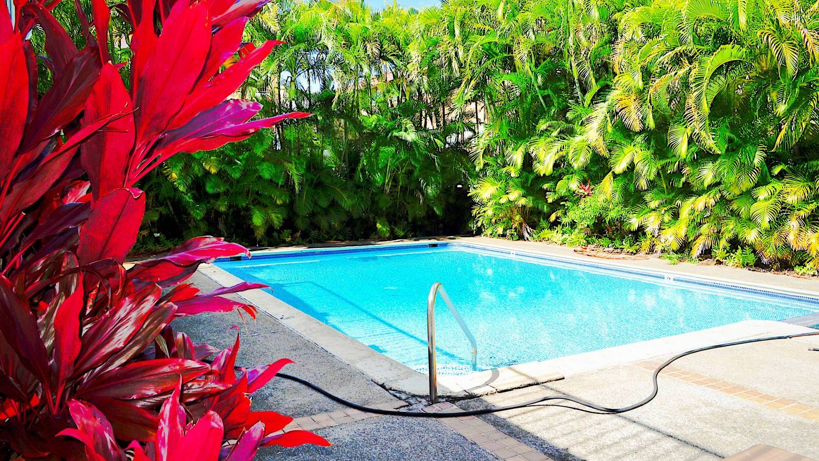 Honolulu Condo for Sale Hawaii Real Estate Homes by Fawn