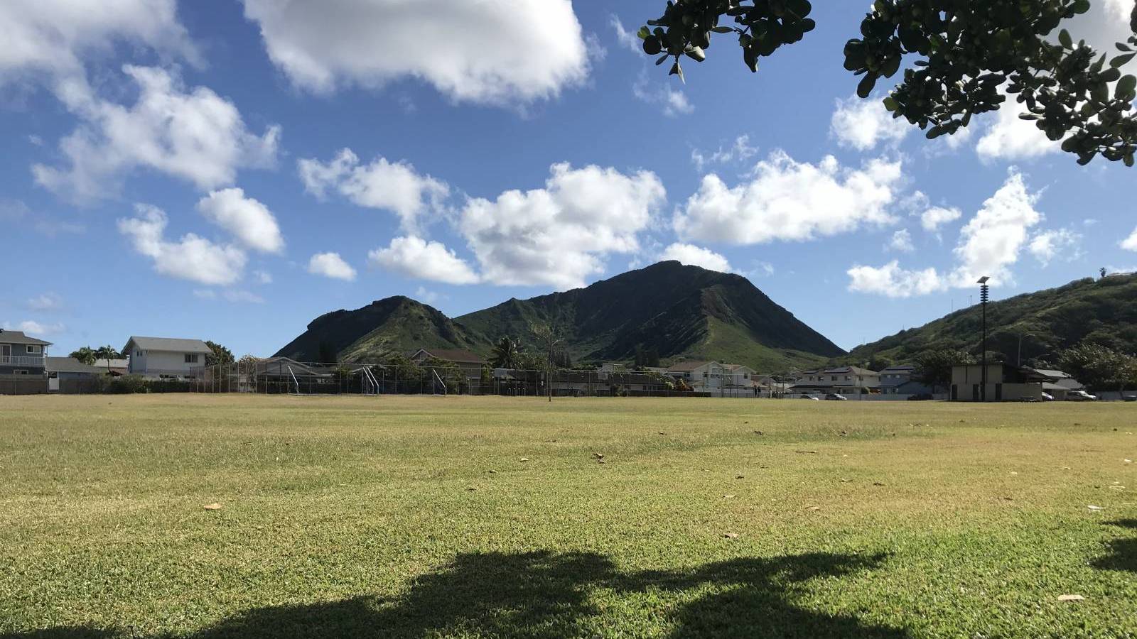 Things To Do in Kalama Valley Hawaii Real Estate Market & Trends