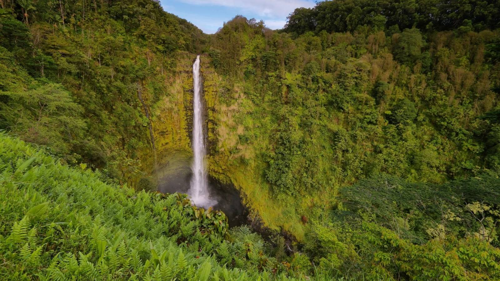 discovering-the-island-of-hawaii-three-exclusive-offerings-found